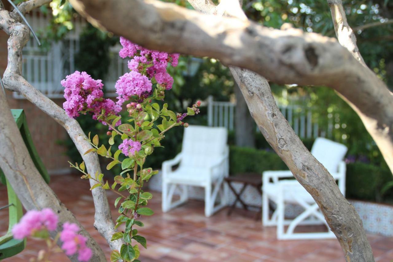 El Jardin De La Abuela Villa - Granada, Granada